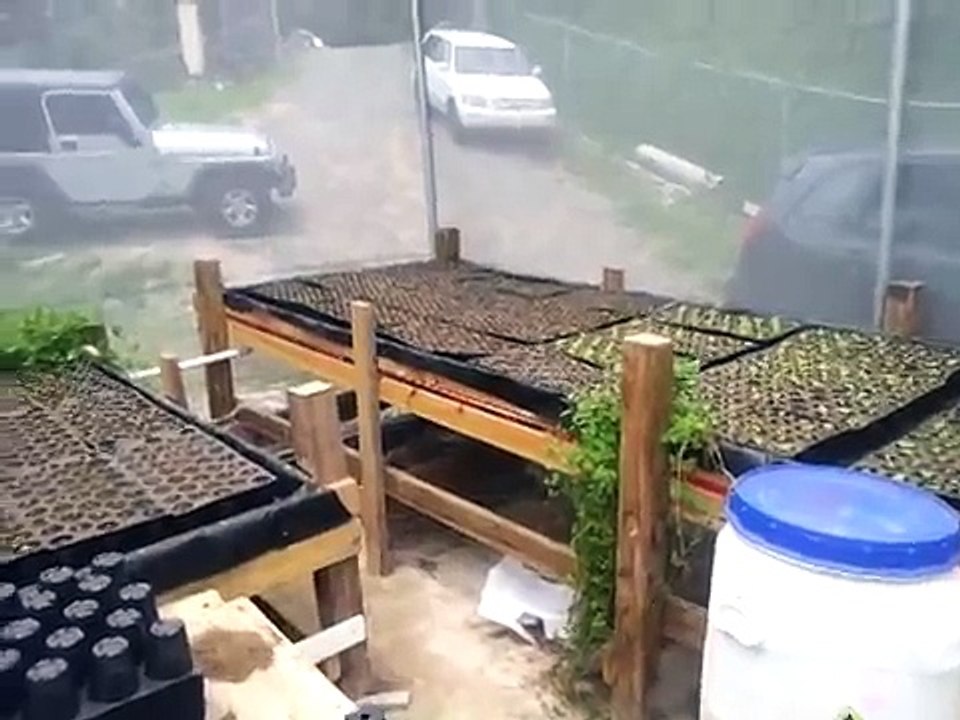 1era finca de acuaponia en PR Agroponicospr