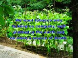 LIberiamo il tabacco (Let's free tobacco), con sottotitoli in inglese.