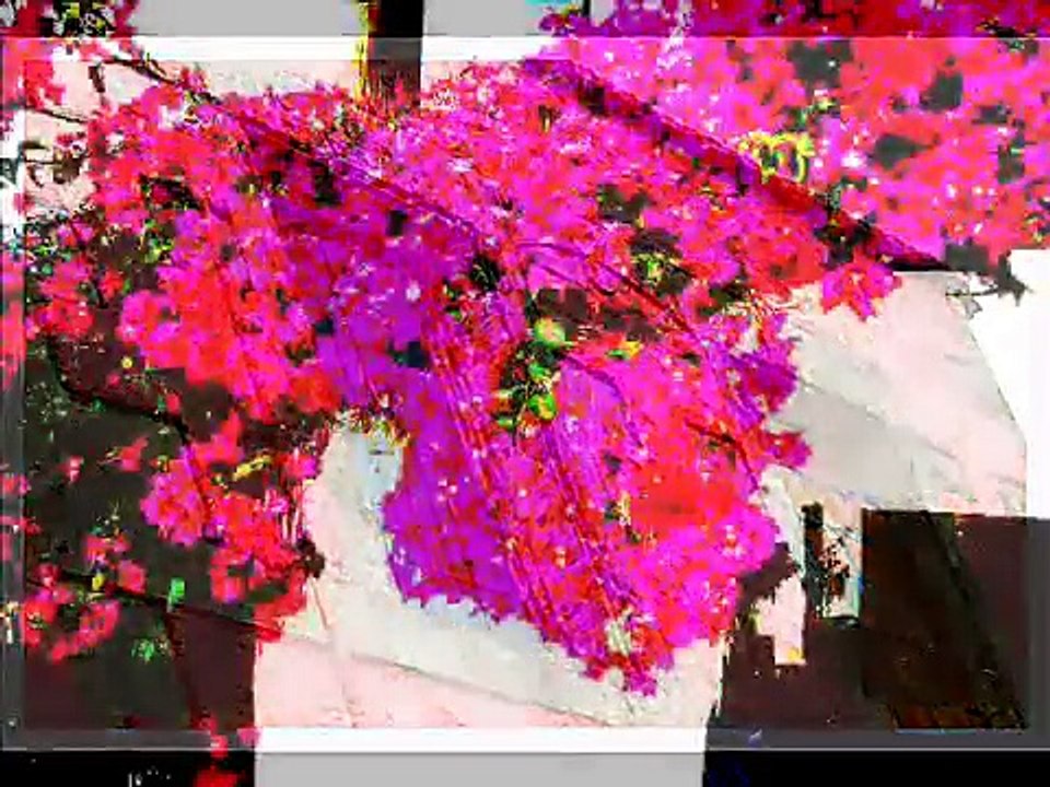 Kriti - Crete - Kreta