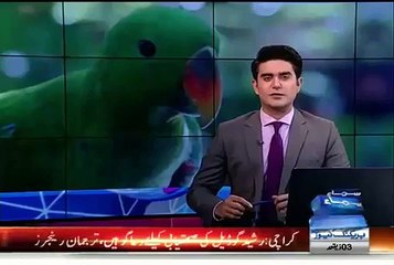 India Arrests a Parrot - Yes Parrot