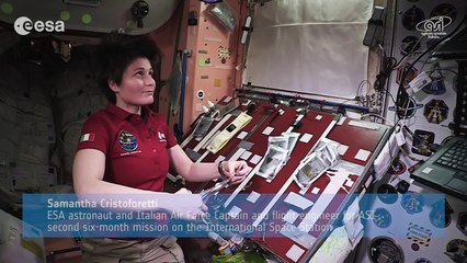 Cooking in space: mackerel, quinoa and leek cream tortilla