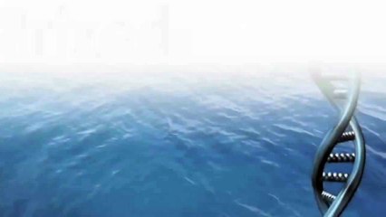 Prized Science 2011 - Episode 1 - Designing the World's Fastest Camera