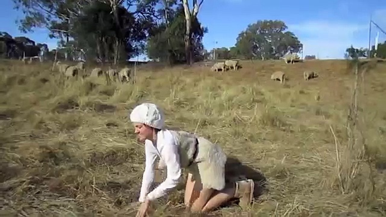 sheep with scrapie
