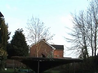 Ballout/barani ballout tutorial