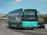 Autobuses en Autopista San Juan del Rio a Queretaro.(Carlos Arciniega 10-28 Sr cura)