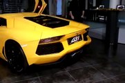 Lamborghini Aventador exhaust flames,blue flame and high-revs !!