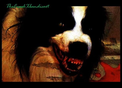 Mitos, Leyendas y Relatos de Terror 15/?