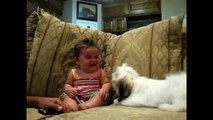 Dog Barking but baby laughing | babies laughing compilation 2015
