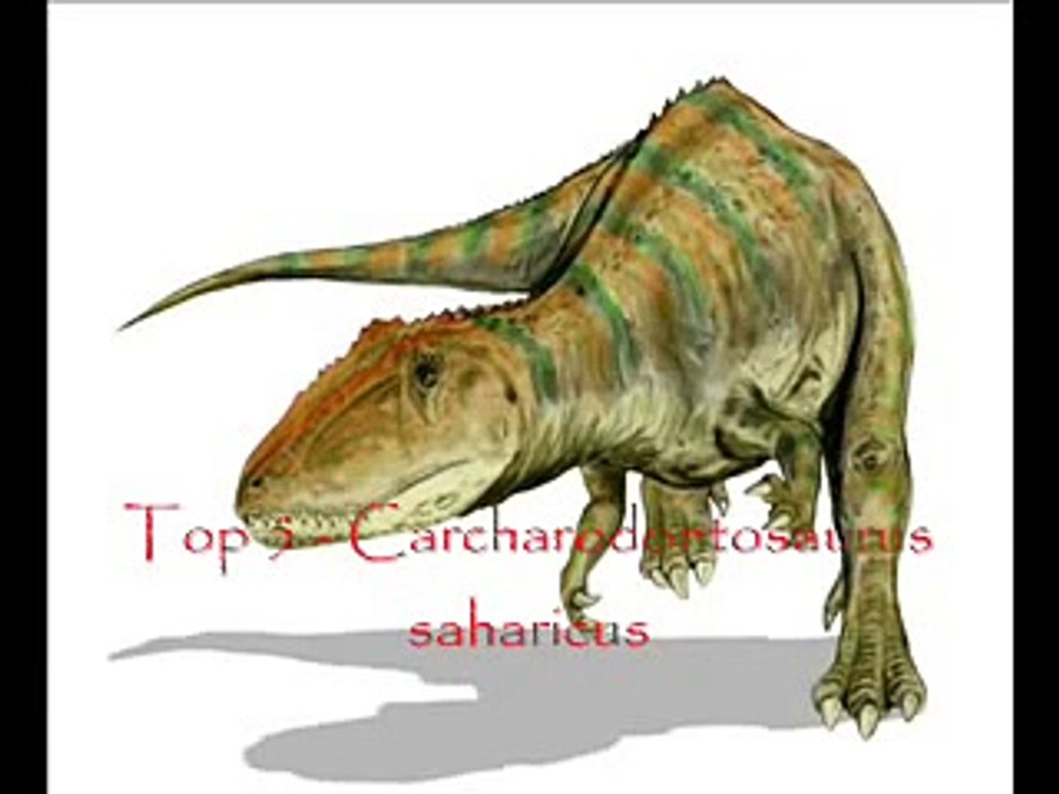 Top 6 Largest Theropods