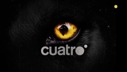 Teaser de 'Zoo', la miniserie de la cadena norteamericana CBS que muy pronto estrenará Cuatro