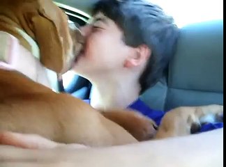 My Pitbulls giving kid kisses