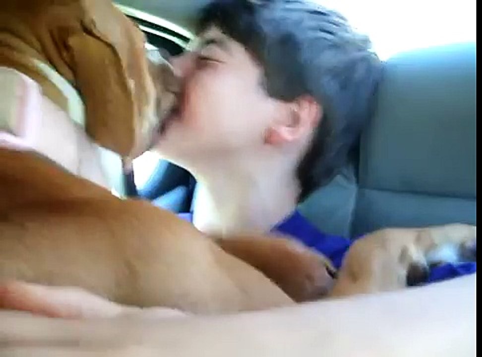 My Pitbulls giving kid kisses