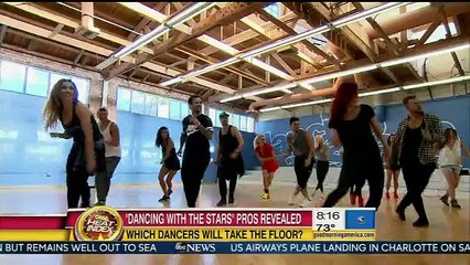 Dancing With The Stars Season 21 Pros Revealed