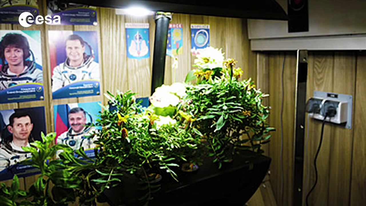 Plants in space