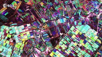 Earth from Space: Colourful cultivations