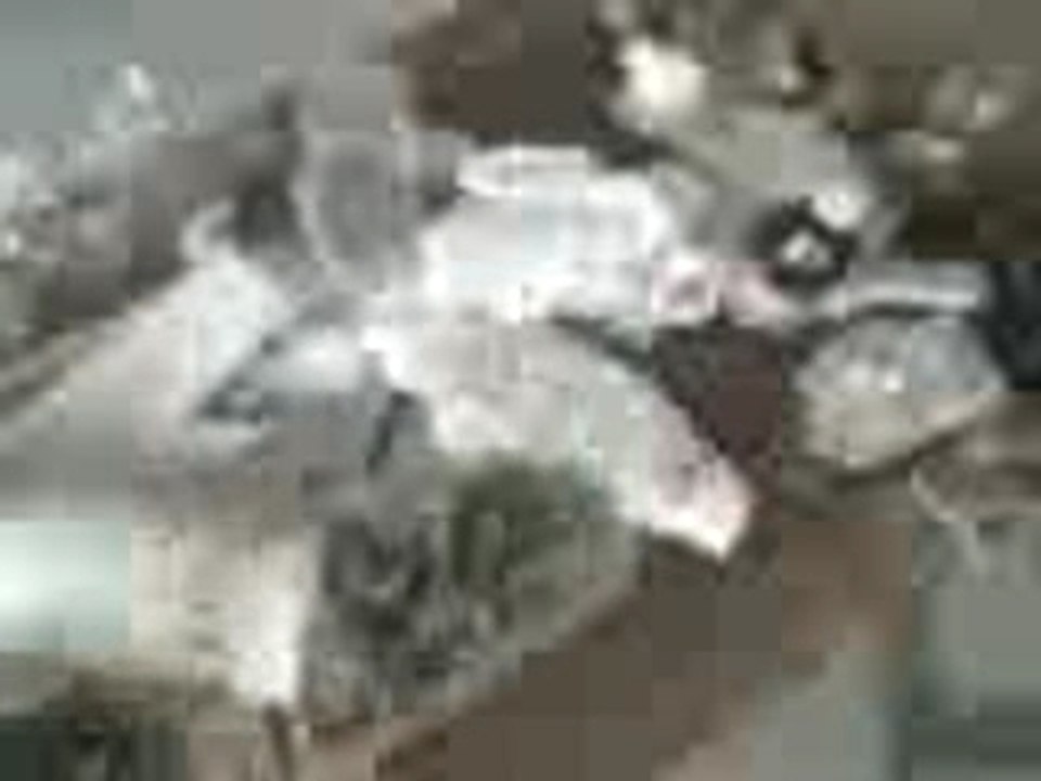 Vidéo002