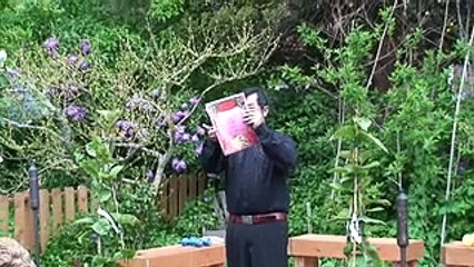 Canción Española (El Niño Judio)