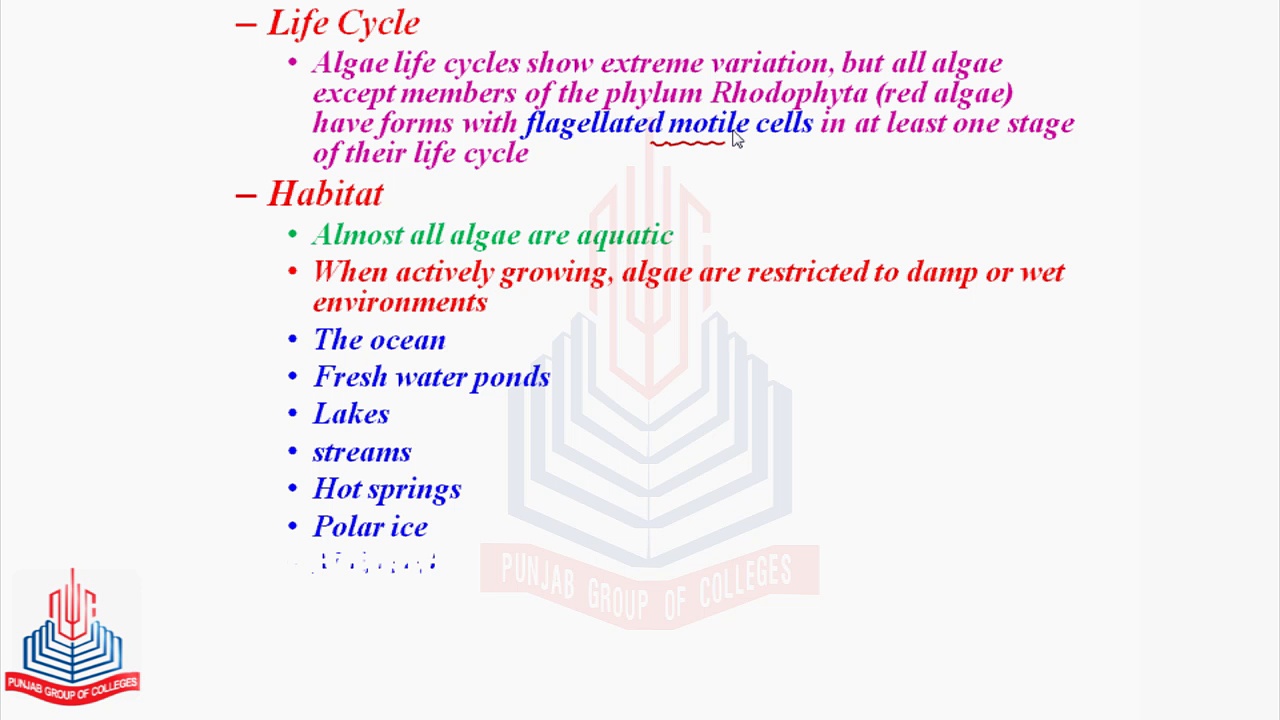 The Algae , The Euglenoids and Dinoflagellates