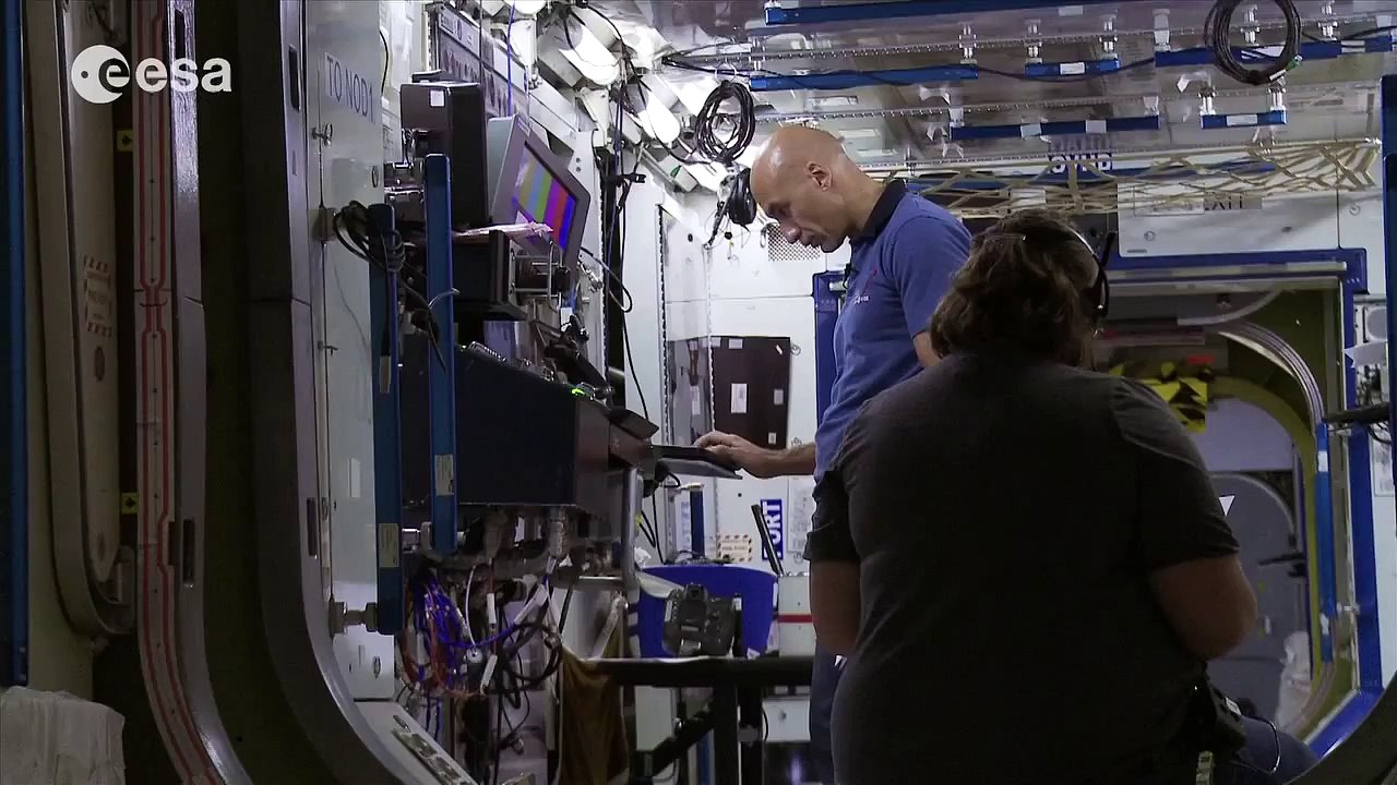 Plumbers, engineers, cooks and scientists