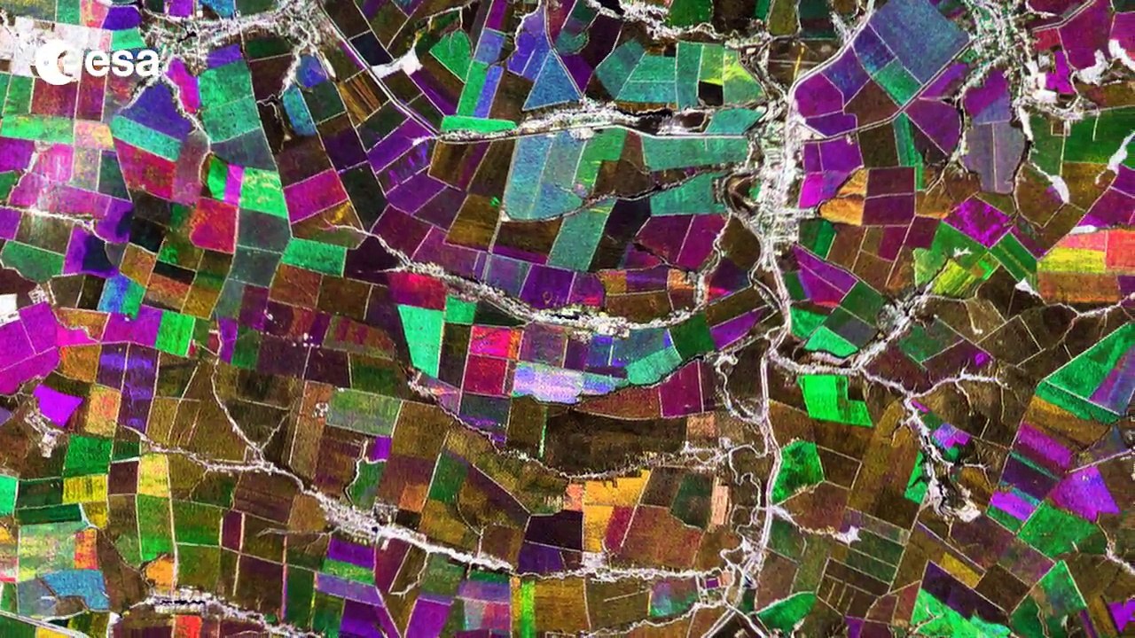 Earth from Space: Chernozem cropland
