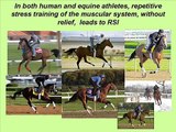 Equine Repetitive Stress Injuries and EIPH