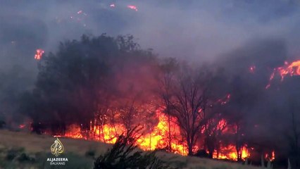 SAD pozvao vojsku u borbu protiv požara