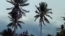 Typhoon Falcon Philippines - July 2015