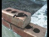 Masonry Block and Brick Spacers