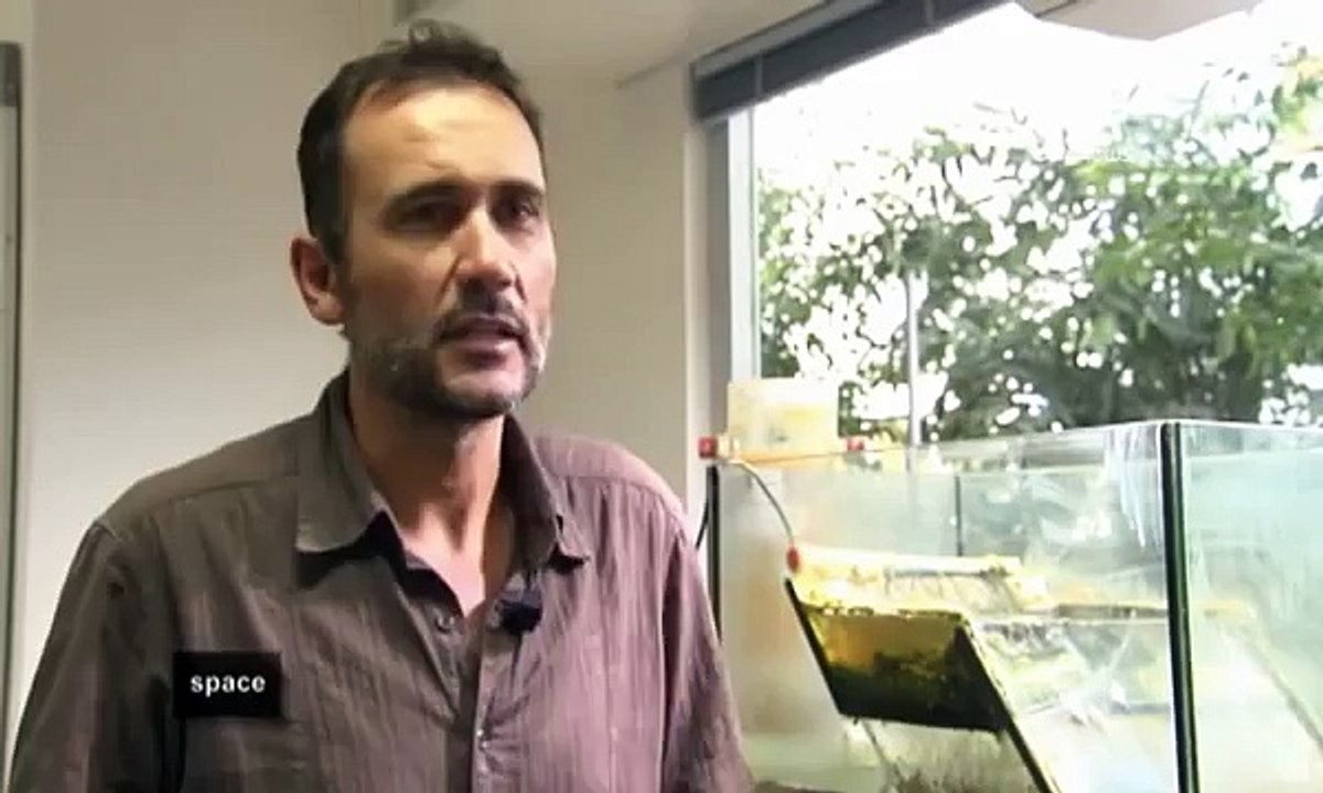 ESA Euronews: Auf der Suche nach dem Ursprung des Lebens