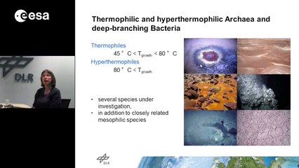 Desiccation and radiation resistance of extremophiles