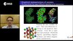 Structures and evolution of proteins