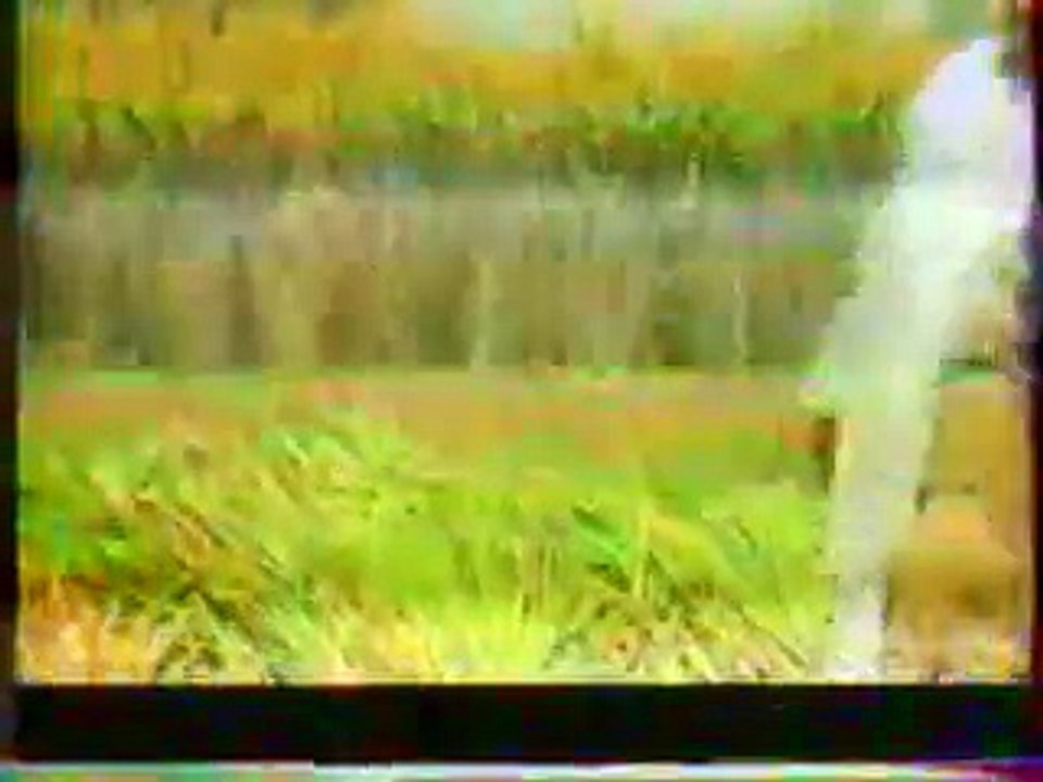 اعلانات قديمة3