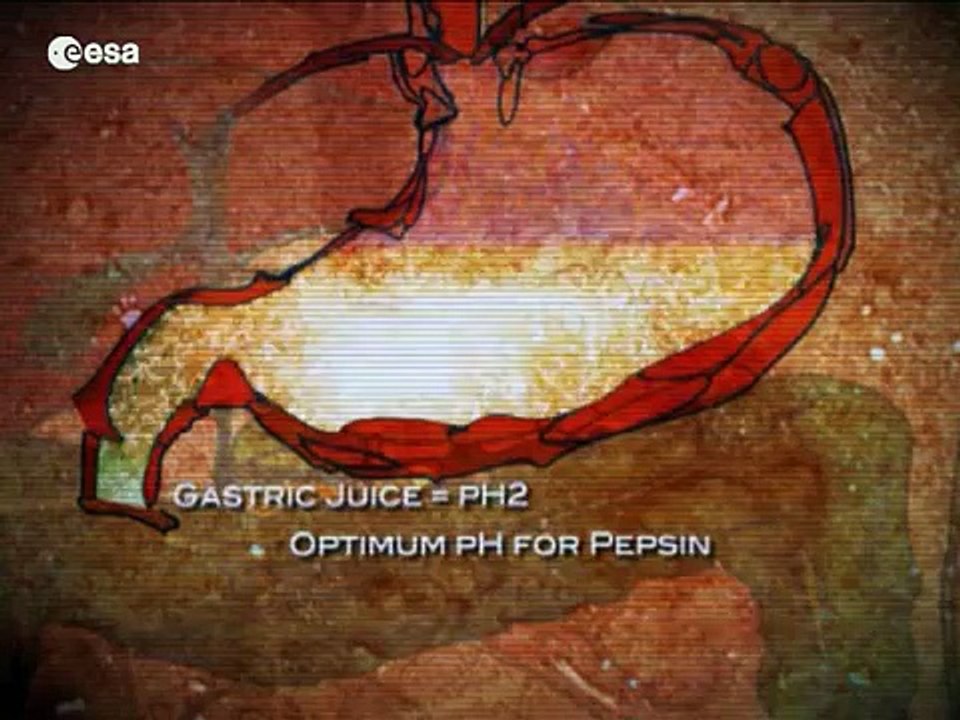 Feeding our future -- nutrition on Earth and in...