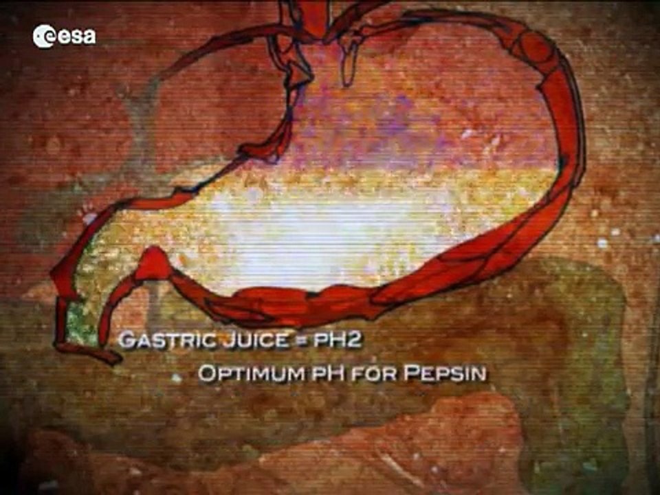 Feeding our future - nutrition on Earth and in space (ελληνικά)