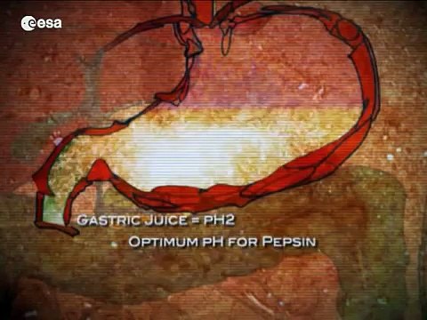 Feeding our future - nutrition on Earth and in space (Italiano)