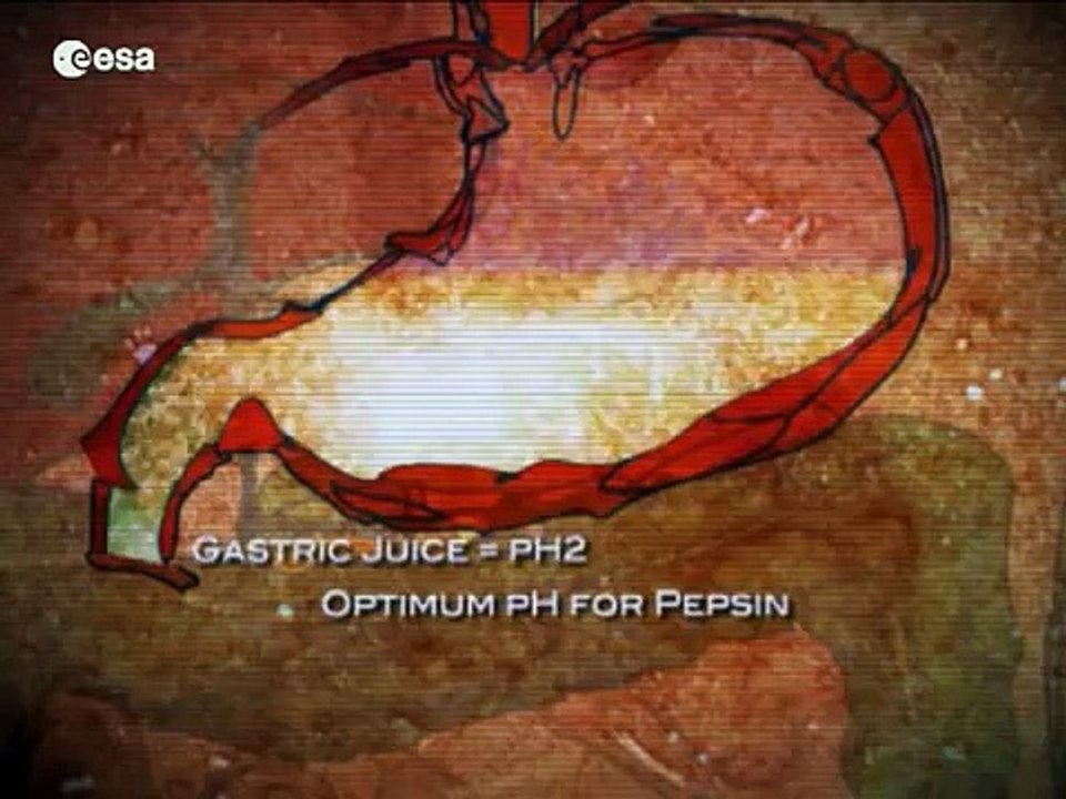 Feeding our future - nutrition on Earth and in space (Español)