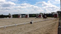 Grand complet : épreuve de dressage du CIC**