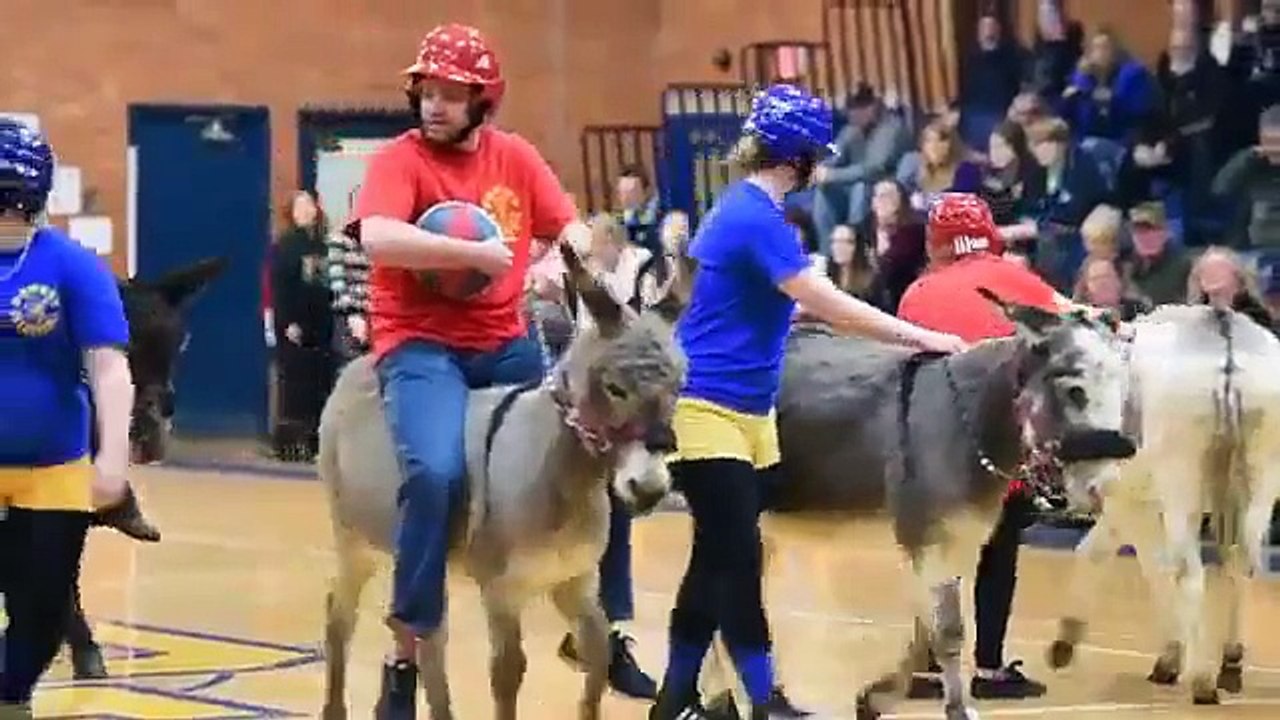 Donkey Basketball