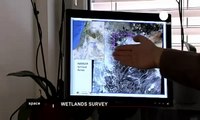 ESA Euronews: Satellites, swamps and solutions