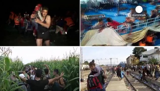 Страны ЕС обещают разорить перевозчиков нелегалов