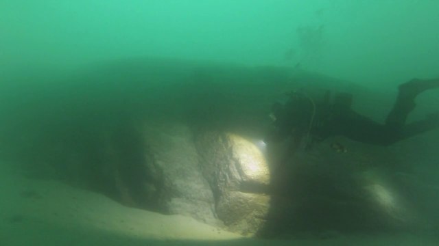 Tombant sud des libellules / Duingt / Lac d'Annecy