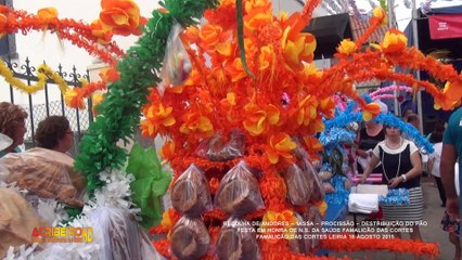 FESTA EM HONRA DE N.S. DA SAÚDE FAMALICÃO DAS CORTES@MISSA & PROCISSÃO