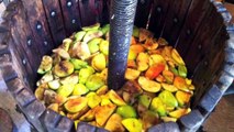 How to Make Hard Apple Cider from Real Apples