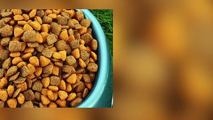 Premium pet food is outselling the regular stuff