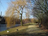 België - Zelzate : Wandeling / Vijver Havenlaan door Tine  en Catherine