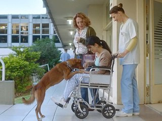 Need A Kidney Transplant? Make A Viral Video