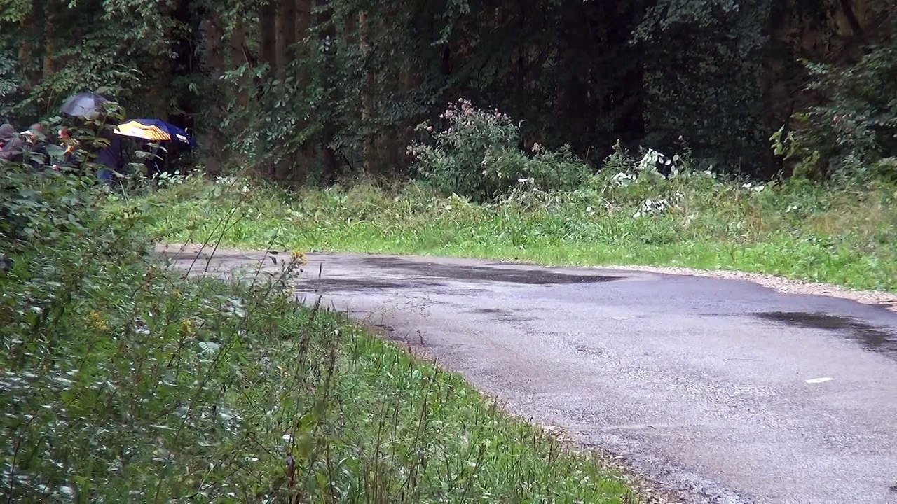 Rallye du Sel 2015 - Sebastien Remy