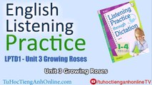 English Listening Practice Unit 3 - Growing Roses