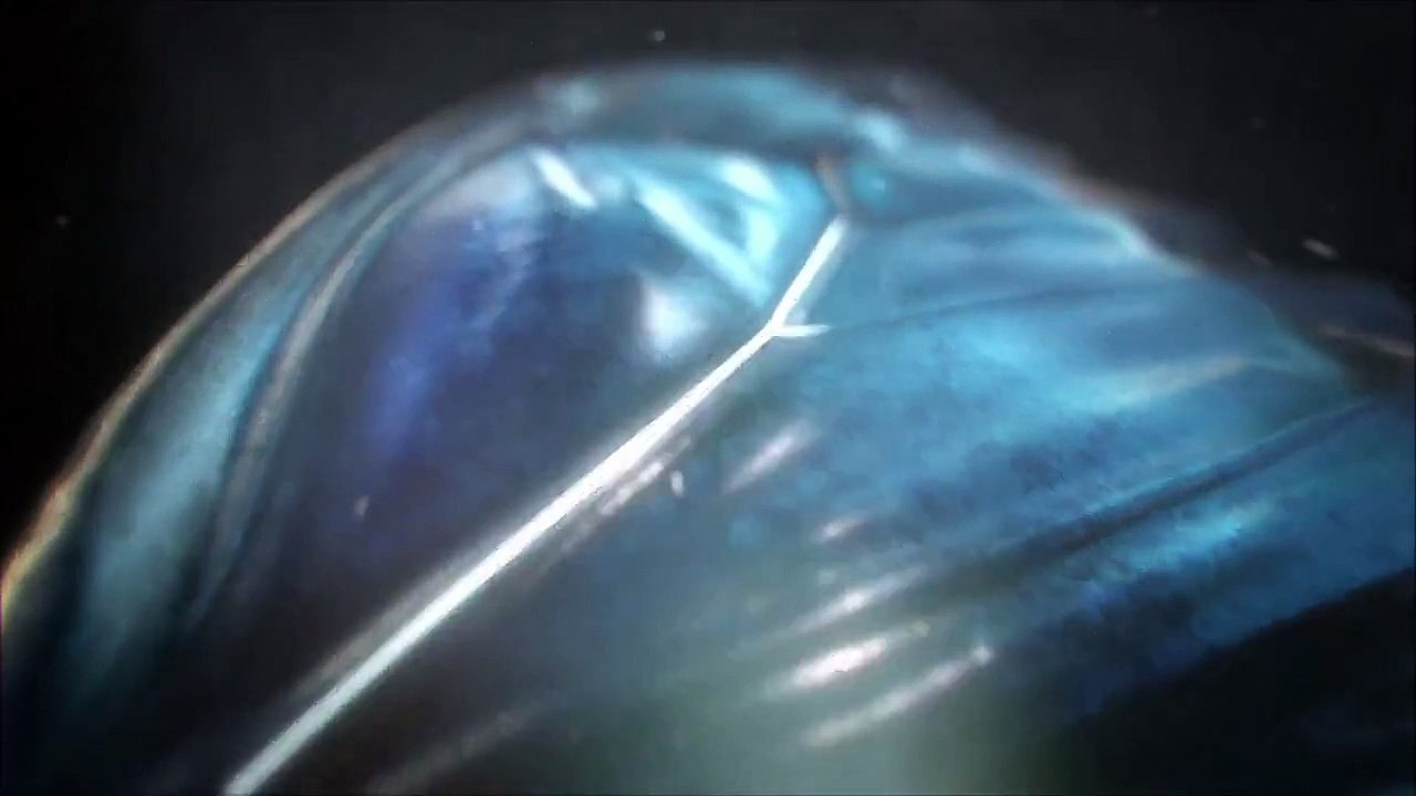 Until Dawn (PS4) - Trailer effet papillon