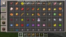 Minecraft PE Como fazer um golem v0.12.1 sem mod !